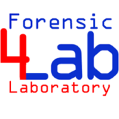 Recupero dati - Securitylab.services